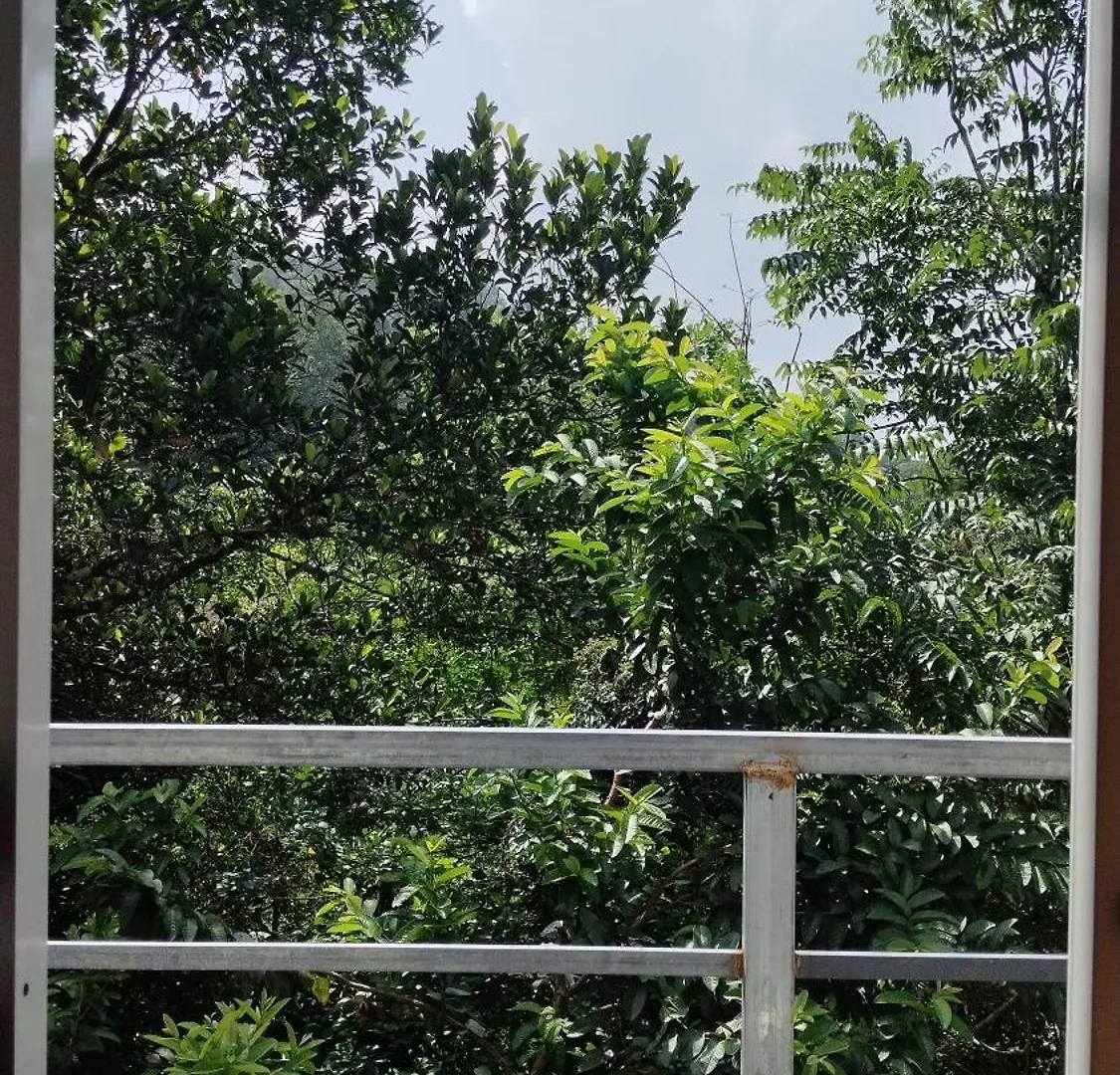 Nature Season Holidays Munnar Anachal